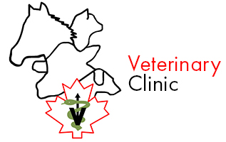 Notre Dame Veterinary Clinic Notre Dame Veterinary Clinic logo in Notre Dame de Lourdes, Manitoba